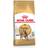 Royal Canin Bengal Ekonomipack: 2