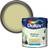 Dulux Standard Melon Sorbet Matt Ceiling Paint, Wall Paint Black, Blue