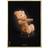 Brainchild Bamse Klassisk Plakat 30x40cm