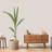 Dutch Wallcoverings Wallpaper Thread Cream