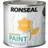 Ronseal 37390 Garden Paint Sundial Wood Paint Orange 0.25L