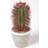 Homescapes Denmoza Artificial Cactus with Flowers Artificial Plant