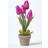 Homescapes Dark Purple Artificial Tulips Purple Artificial Plant