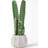 Homescapes Echinopsis Peruviana Artificial Cactus In Stone Artificial Plant