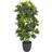 Real Schefflera Umbrella Konstgjord växt