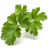 Click and Grow & Smart Garden Refill: Parsley Krukke