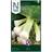 Nelson Garden Allium ampeloprasum Herbstriesen 2 Prydbusk