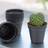 Elho Green Basics 'Growpot' 7,5cm 10st