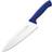 Dick Pro Dynamic HACCP Chefs Knife Blue 20.5cm