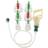 Andre Cupping Vacuum Cupset
