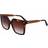 Calvin Klein Square CK22534S BROWN OS