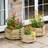 Zest Zest4Leisure Marford Hexagonal Garden Planter