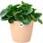 Elho Flower Pot Brussels Round Planter Plant Krukke