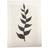 Paper Collective Plant Poem Poster