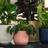 Elho DELICATE PINK, 16cm Vibes Fold ∅16cm