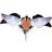 Avian-X Powerflight Lokkedue