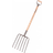 Galax Galax roegreb 6 grenet m/knopper