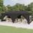 vidaXL Folding Party Tent with Sidewalls
