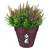 Elho Flowerpot Loft Urban Overflow Pipes Plant