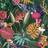 World of Wallpaper Wonderland Tropical (WOW036)