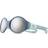 Julbo Loop L Spectron
