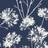 Seabrook Designs Dandelion Fields ET10412