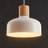 Lindby Hanging light Carlise with Pendant Lamp