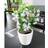 Lechuza White High Gloss, D21 H20 Poly