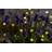 Sirius Silke, Clear/green, 3,9m+30cm Ljusslinga