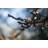 Star Trading Flashy Black Ljusslinga 800 Lampor