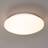 Trio Lighting Pollux LED ceiling 27cm Loftplafond