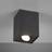 Trio Lighting Biscuit ceiling Loftplafond