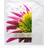 RYOR Ryor Collagen Mask With Hyaluronic Acid