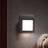 Paulmann Viby LED-natlys Vægarmatur