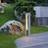 SLV ARROK ARC Pullert
