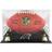 Fanatics Carolina Panthers Logo Display Case