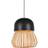 Forestier Anemos Pendel