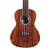 Cordoba 15CB Concert Ukulele Natural