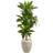 Nearly Natural Dracaena Artificial Plant