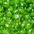 Skovmærke - Galium odoratum Prydbusk