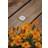 Paulmann 94364 LED-indbygningslys 2 Spotlight