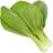Click and Grow Pak Choi - Sg-031 Blomsterfrø