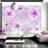 Artgeist Fototapet med lilla blomster på violet baggrund Flere størrelser 400x280