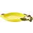 Saturday Knight Ltd Yip Citrus Grove Soap Dish