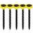 Timco Collated Coarse Thread Drywall Screws