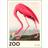 Poster & Frame & Frame The Zoo Collection Pink Flamingo Edt. 001