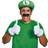 Nintendo Luigi Tilbehørssæt