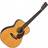 Martin 000-28EC Western Guitar