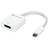 Newertech USB C - DisplayPort Adapter M-F