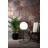 Star Trading WILLE Golvlampa
